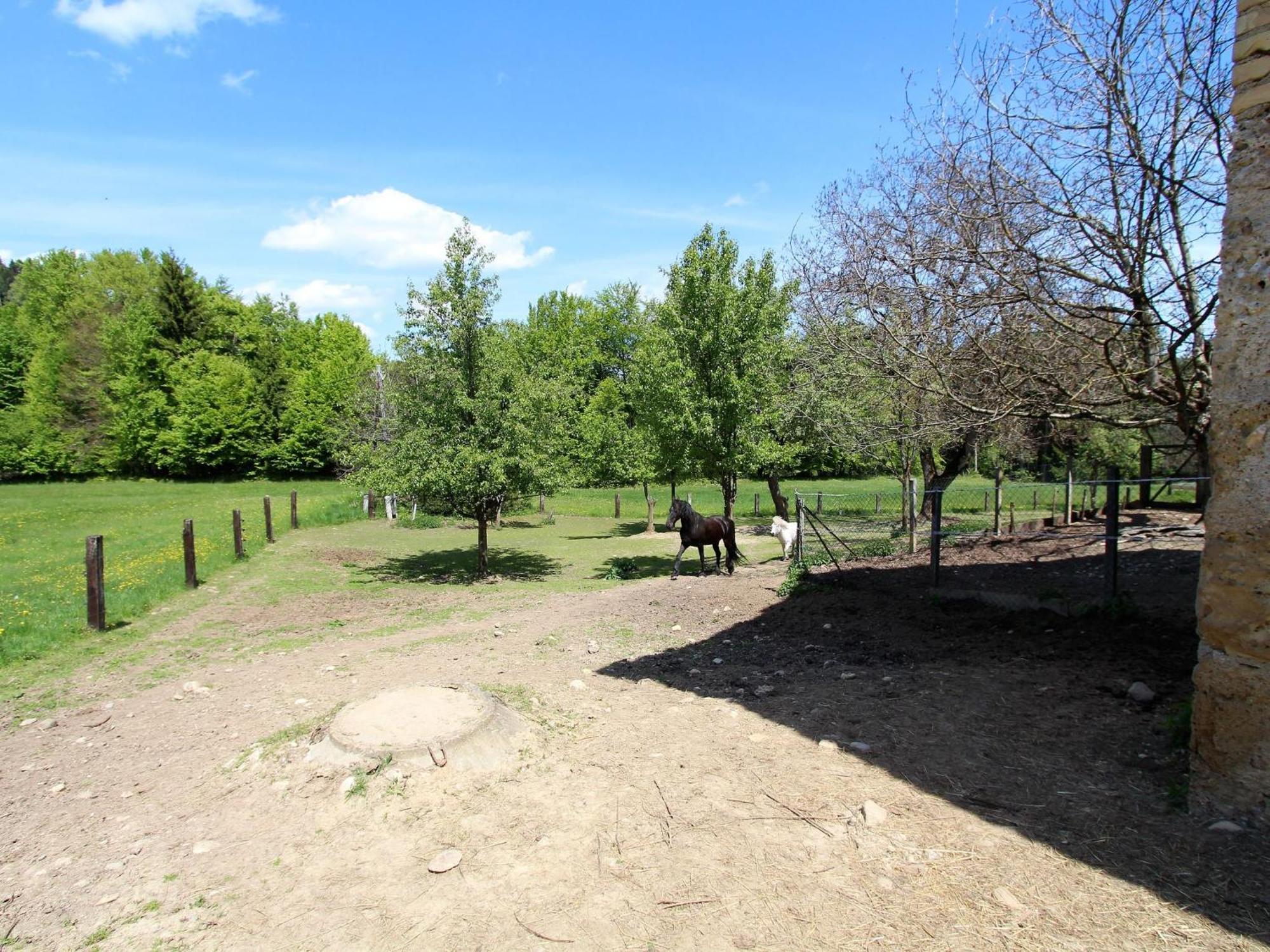 Apartment In Koettmannsdorf Near Bathing Lakes מראה חיצוני תמונה